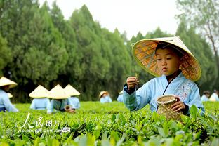 米切尔谈输球：我们起初打得正确但之后有些自满 球队会做得更好